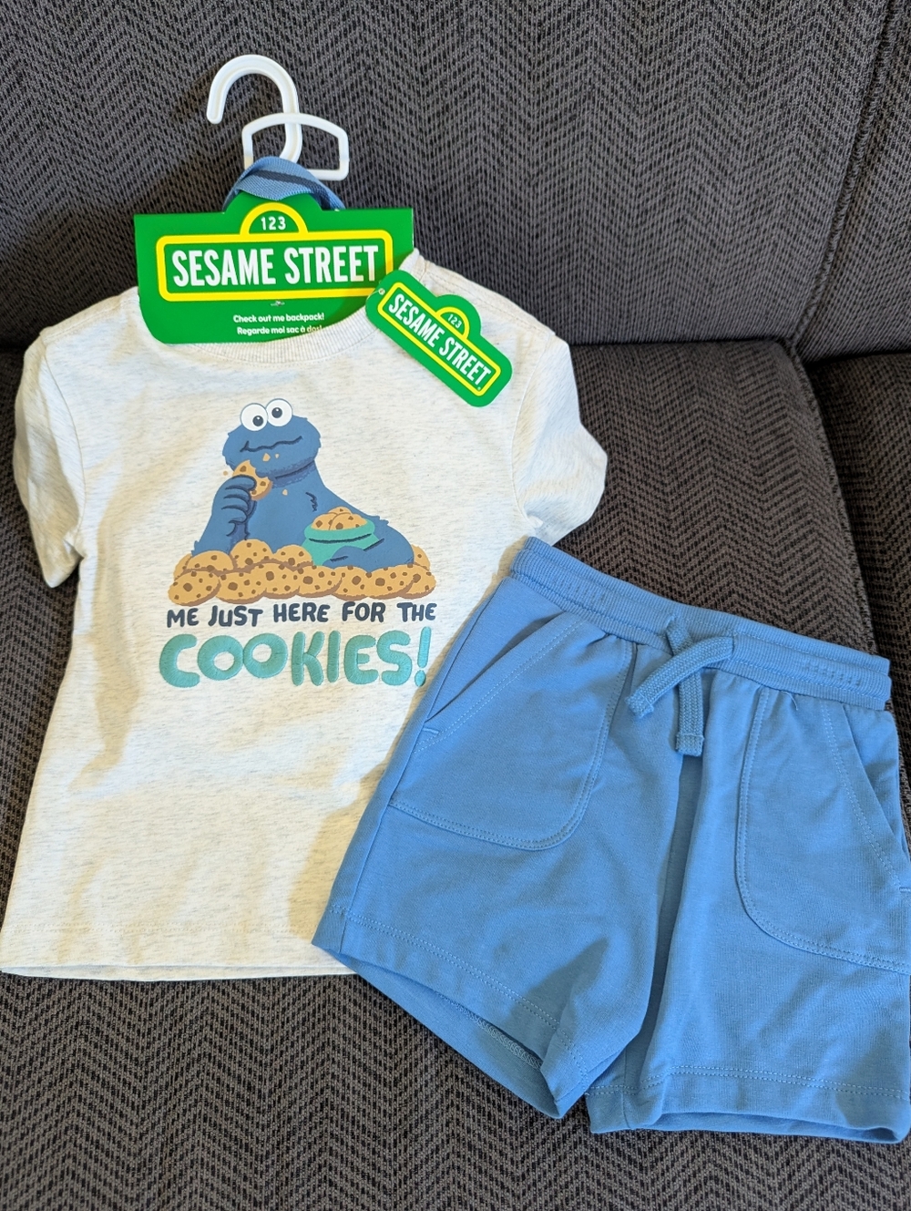 Sesame Street Toddler Outfit With Backpack Cookie Monster 2T